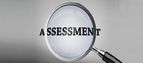 Data Governance Assessments