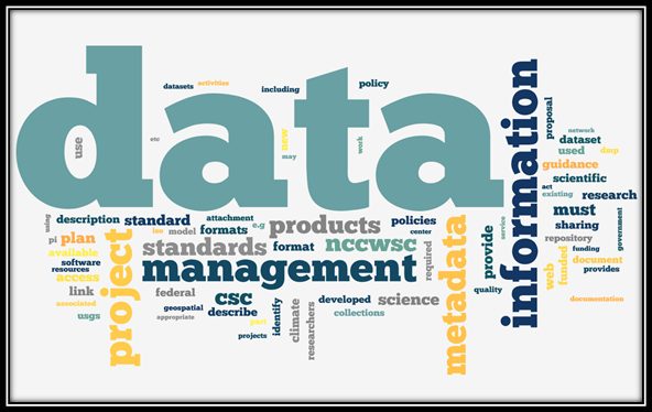 Foundations of Enterprise Data Management