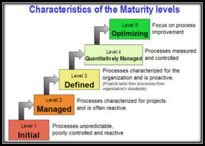 Characteristics of the Maturity Levels