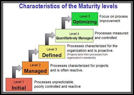 Characteristics of the Maturity Levels