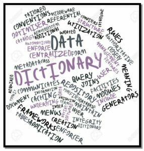 Extended Data Dictionary Approach and Benefits
