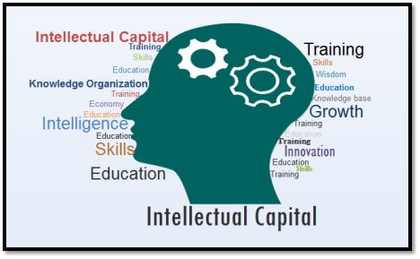 Capturing Intellectual Capital in Metadata