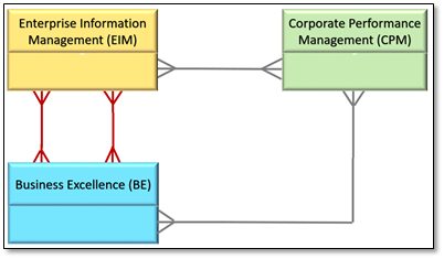 Enterprise Information Management Enables Business Excellence