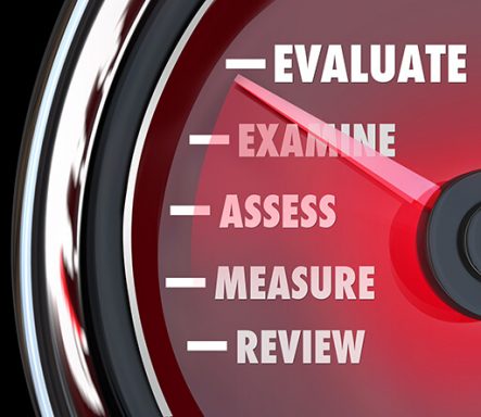 Data Governance Stewardship Assessment Services